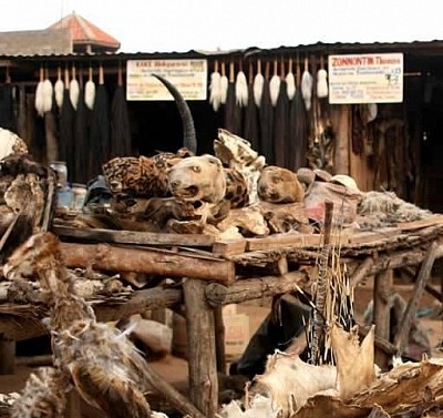 MARABOUT PUISSANT EN FRANCE